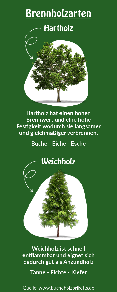 Brennholzarten Hartholz und Weichholz